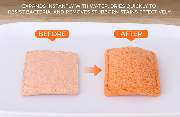 Compressed Sponges Bulk