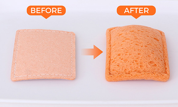 Compressed Sponges Bulk