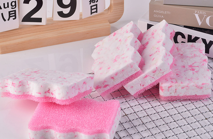 Dual-Sided Cleaning Sponge