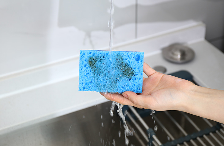 Square Cellulose Sponge