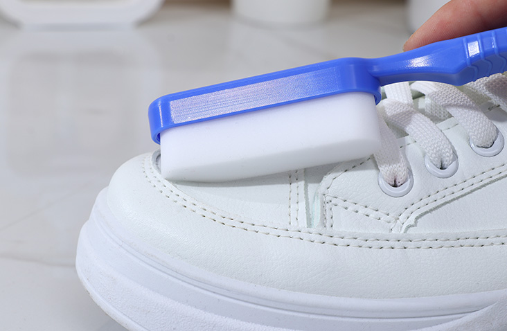 Travel Shoe Brush