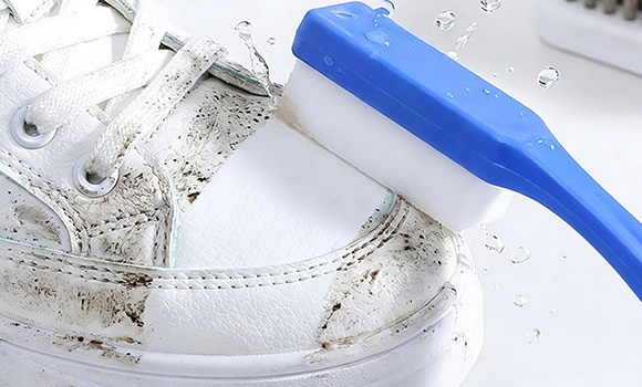 Travel Shoe Brush