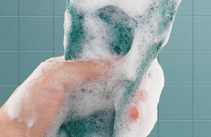 Scouring Pads
