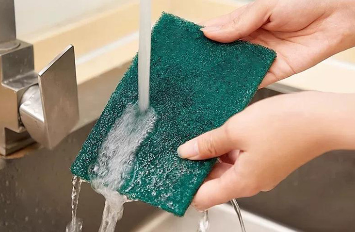 Scouring Pads