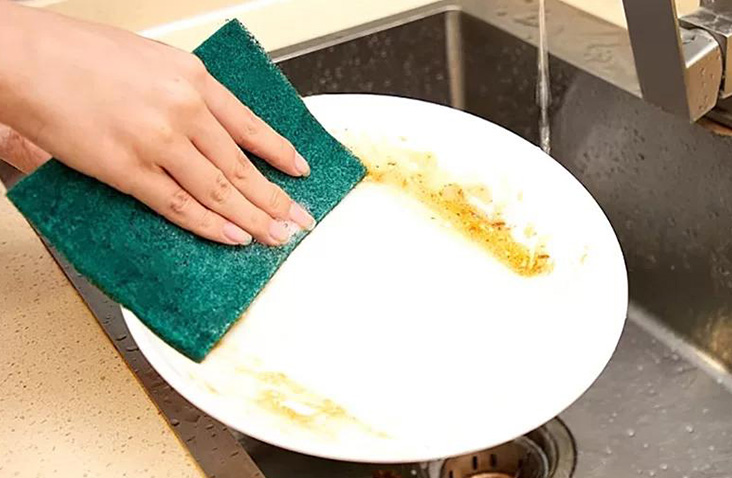 Scouring Pads